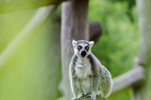 katta017 058 christian heusner   katta017 058 christian heusner